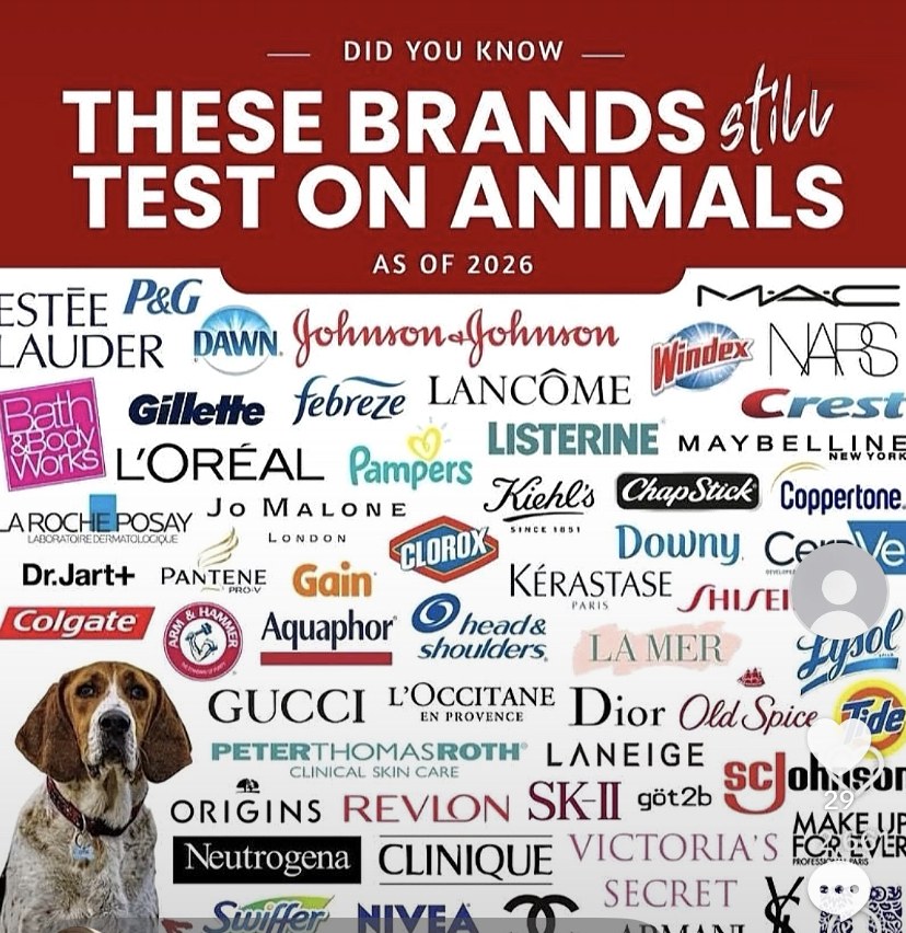 Graphic titled Did you know: these brands still test on animals, as of 2026, showing logos of dozens of beauty, personal-care and household brands beside a photo of a hound dog. The brand names are listed below the image.